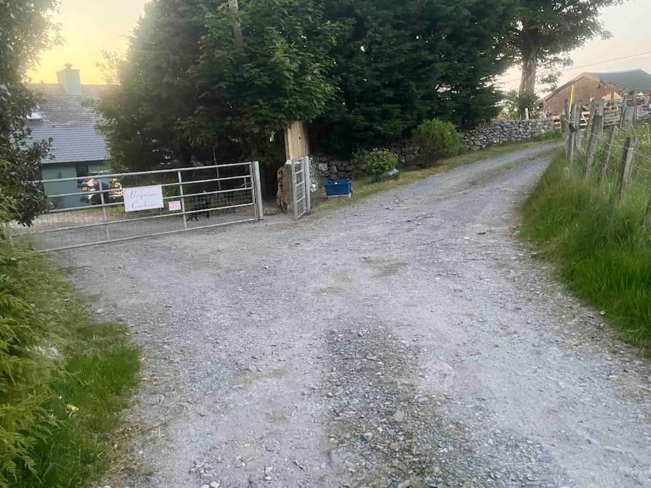 Hedd Wen Villa Llanllyfni Eksteriør billede